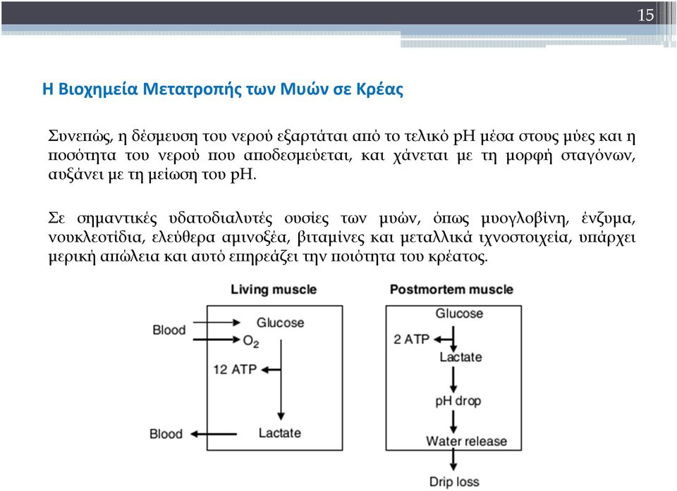αυξάνειμετημείωσητουph.