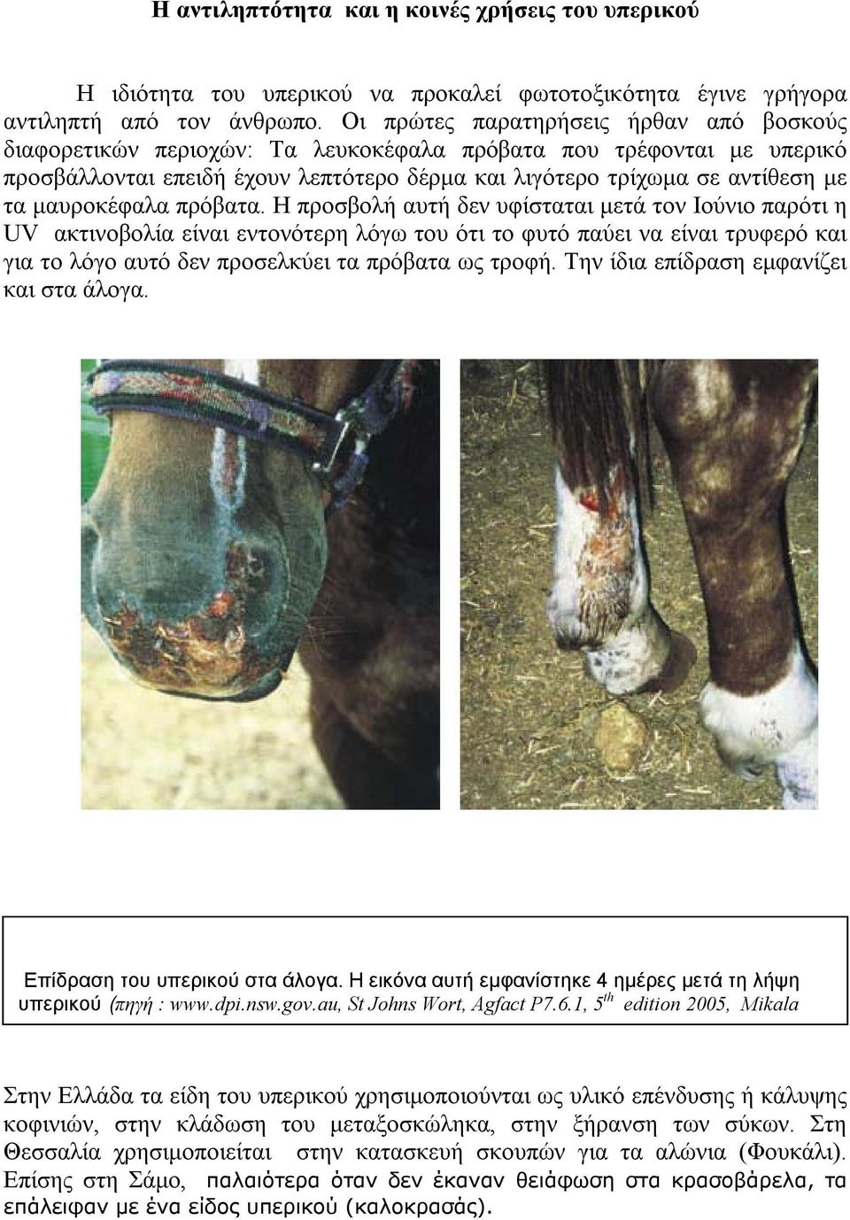 μαυροκέφαλα πρόβατα.