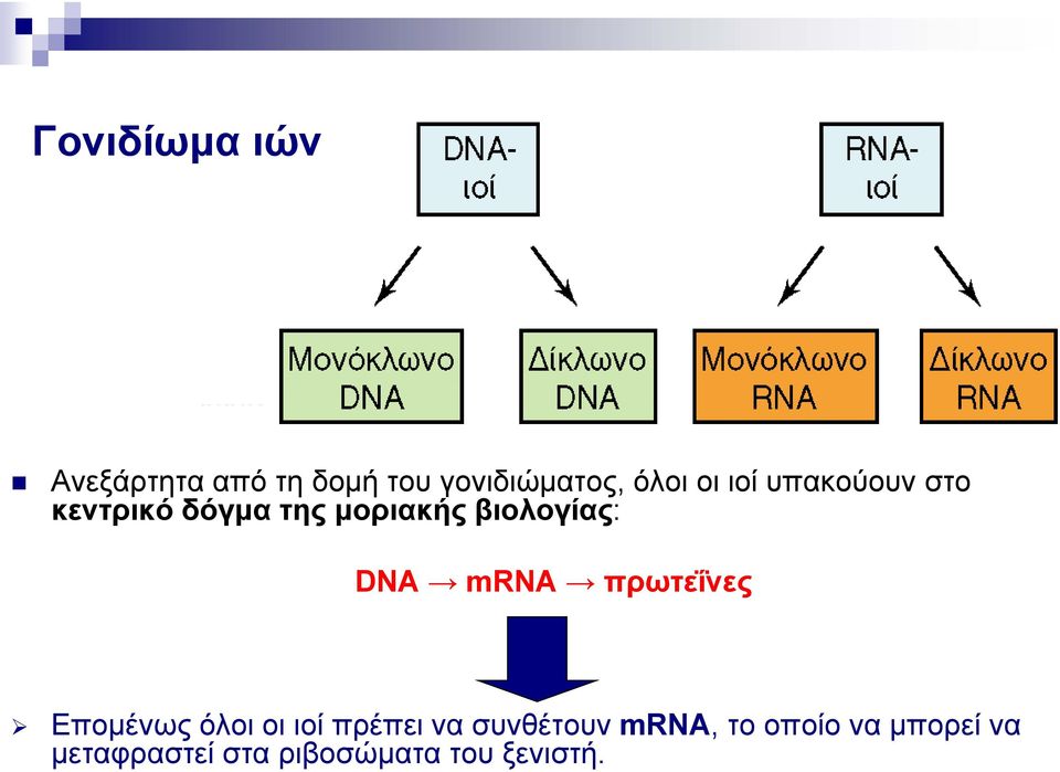 DNA mrna πρωτεΐνες Επομένως όλοι οι ιοί πρέπει να συνθέτουν