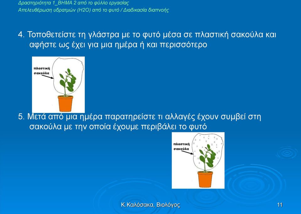 Τοποθετείστε τη γλάστρα με το φυτό μέσα σε πλαστική σακούλα και αφήστε ως έχει για μια