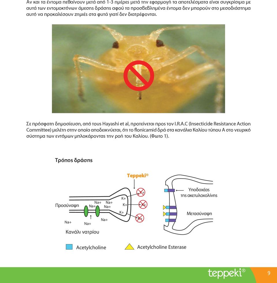 C (Insecticide Resistance Action Committee) μελέτη στην οποία αποδεικνύεται, ότι το flonicamid δρά στα κανάλια Καλίου τύπου Α στο νευρικό σύστημα των εντόμων μπλοκάροντας την