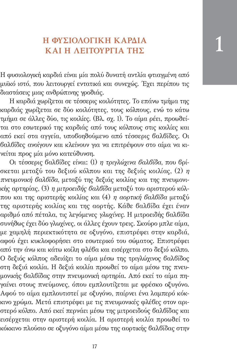 Το επάνω τµήµα της καρδιάς χωρίζεται σε δύο κοιλότητες, τους κόλπους, ενώ το κάτω τµήµα σε άλλες δύο, τις κοιλίες. (Βλ. σχ. 1).