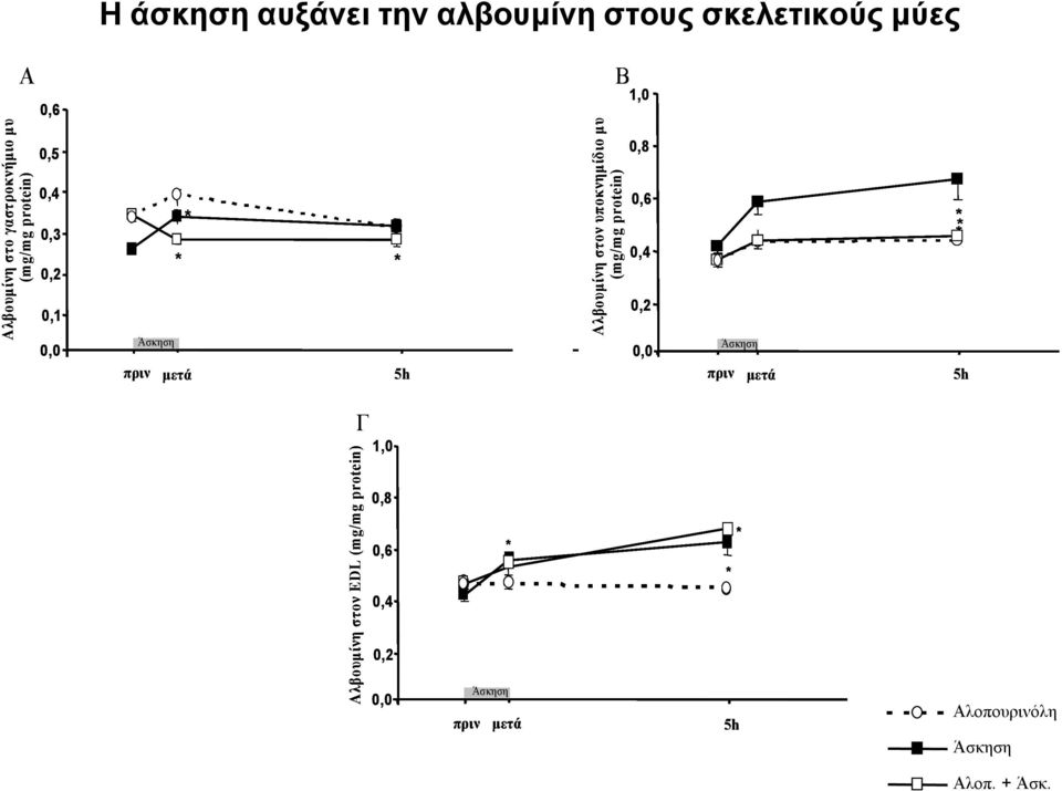 B Αλβουμίνη στον υποκνημίδιο μυ (mg/mg protein) 1,0 0,8 0,6 0,4 0,2 0,0 πριν μετά 5h Allopurinol Αλοπουρινόλη