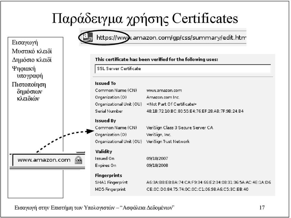 Επιστήμη των