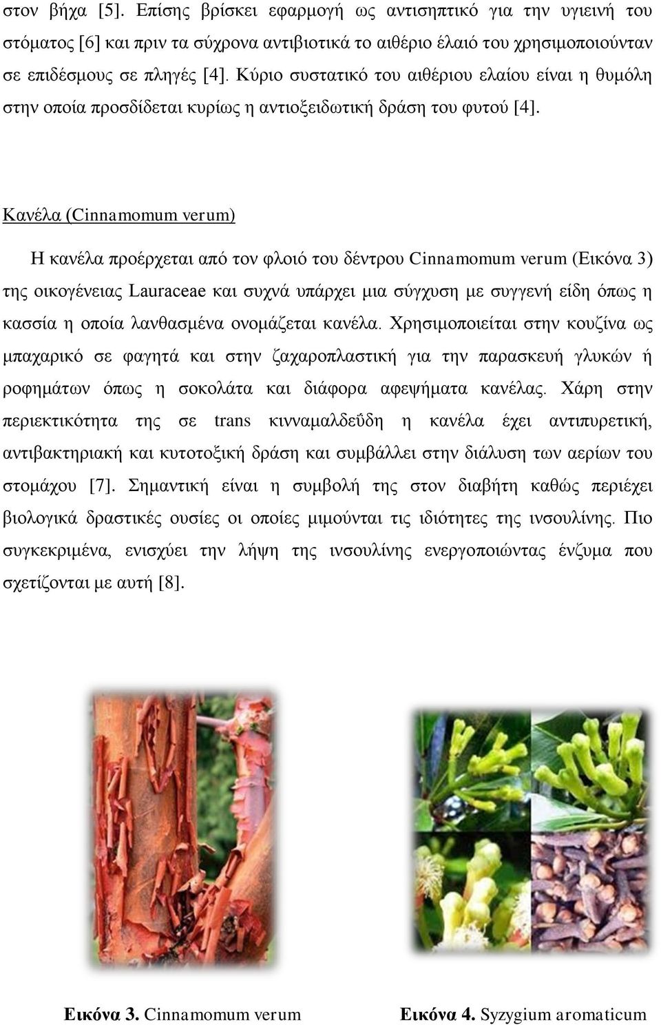 Κακέθα (Cinnamomum verum) Η ηακέθα πνμένπεηαζ απυ ημκ θθμζυ ημο δέκηνμο Cinnamomum verum (Δζηυκα 3) ηδξ μζημβέκεζαξ Lauraceae ηαζ ζοπκά οπάνπεζ ιζα ζφβποζδ ιε ζοββεκή είδδ υπςξ δ ηαζζία δ μπμία