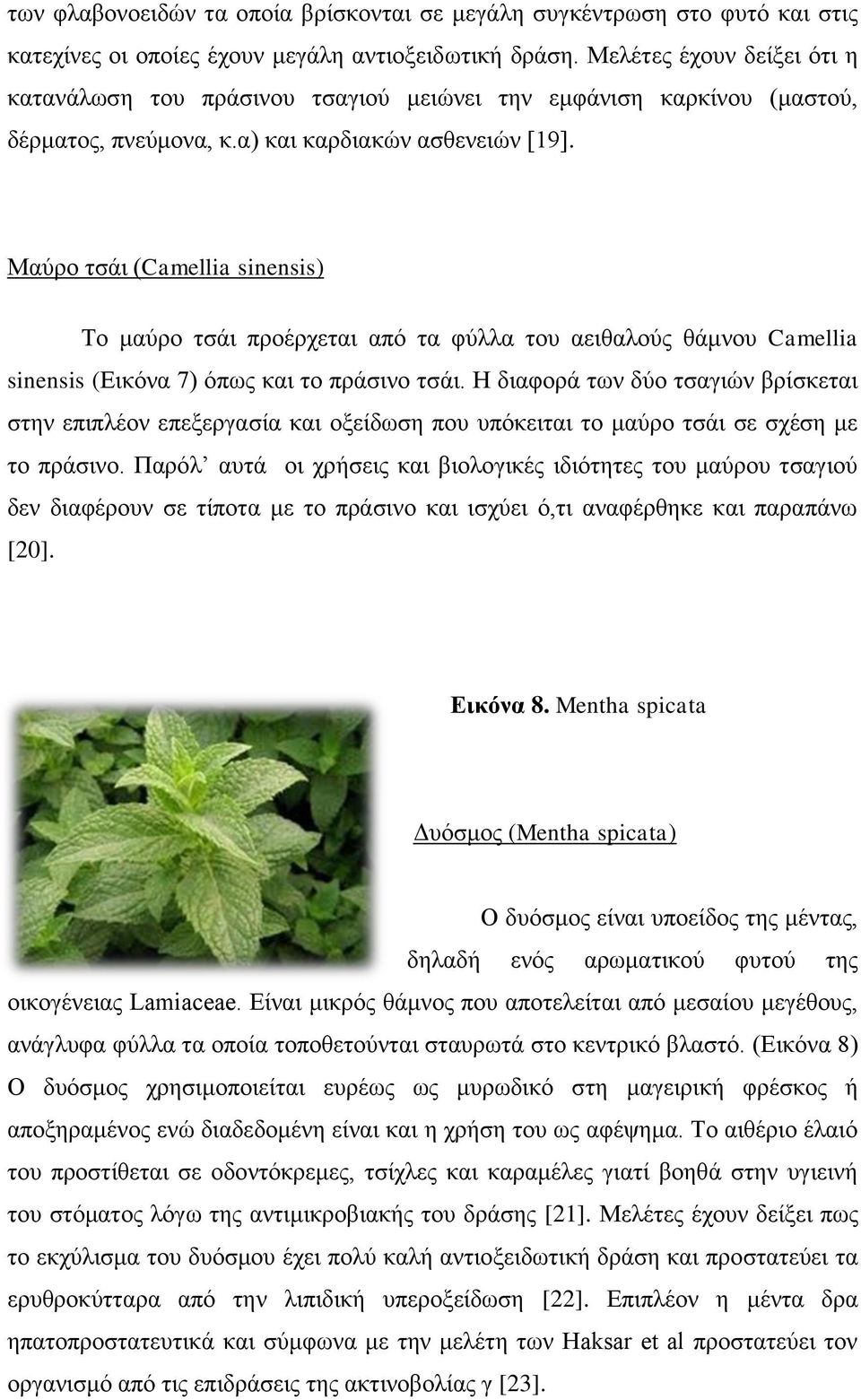 Μαφνμ ηζάζ (Camellia sinensis) Σμ ιαφνμ ηζάζ πνμένπεηαζ απυ ηα θφθθα ημο αεζεαθμφξ εάικμο Camellia sinensis (Δζηυκα 7) υπςξ ηαζ ημ πνάζζκμ ηζάζ.