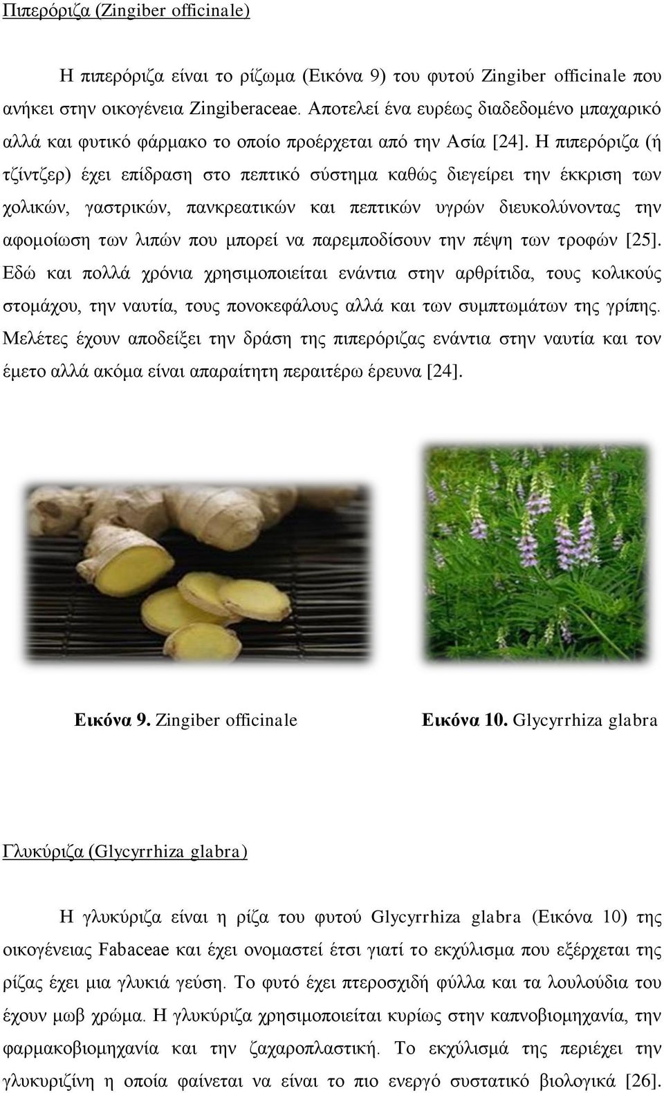 Η πζπενυνζγα (ή ηγίκηγεν) έπεζ επίδναζδ ζημ πεπηζηυ ζφζηδια ηαεχξ δζεβείνεζ ηδκ έηηνζζδ ηςκ πμθζηχκ, βαζηνζηχκ, πακηνεαηζηχκ ηαζ πεπηζηχκ οβνχκ δζεοημθφκμκηαξ ηδκ αθμιμίςζδ ηςκ θζπχκ πμο ιπμνεί κα