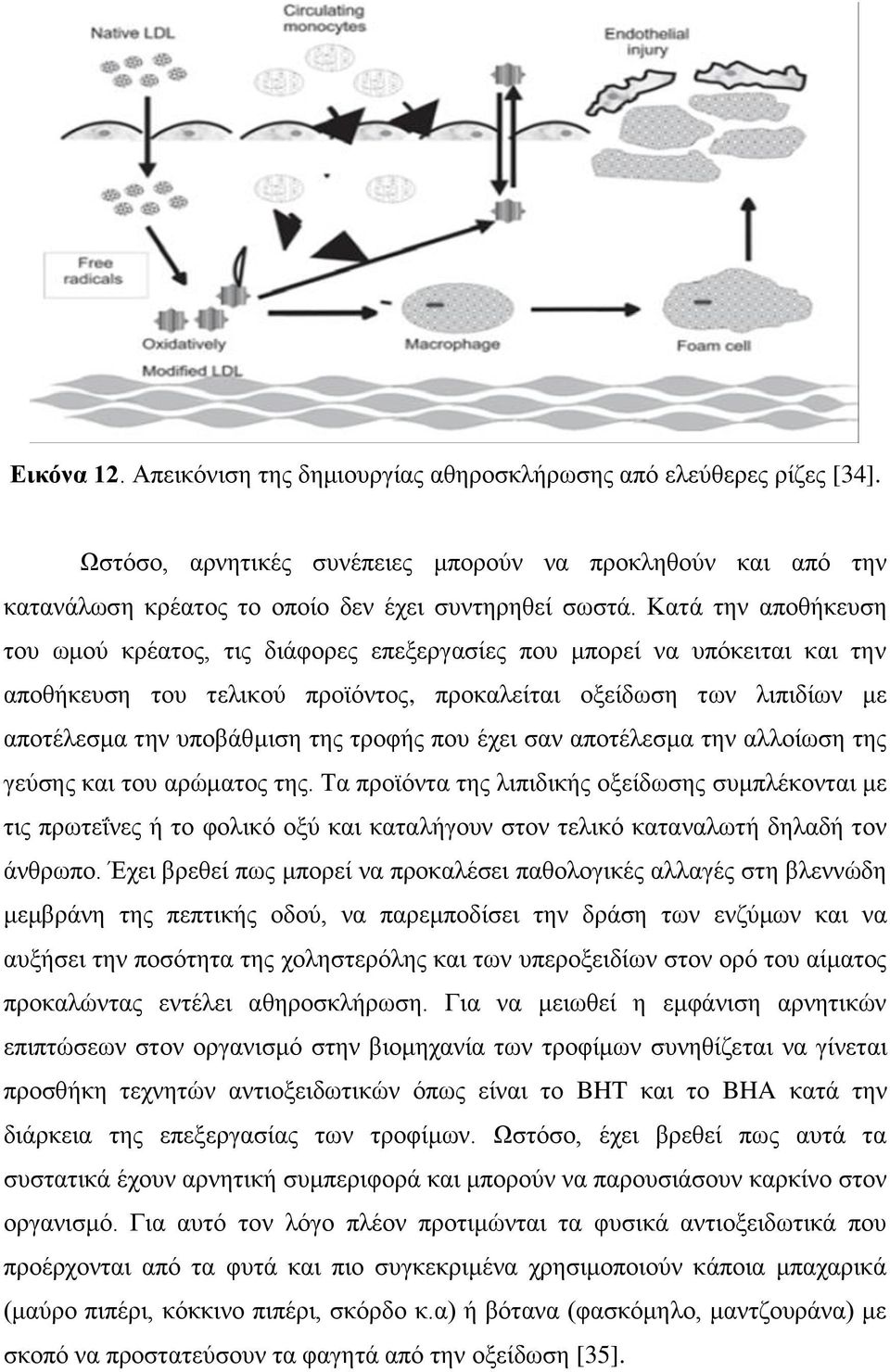 ηνμθήξ πμο έπεζ ζακ απμηέθεζια ηδκ αθθμίςζδ ηδξ βεφζδξ ηαζ ημο ανχιαημξ ηδξ.