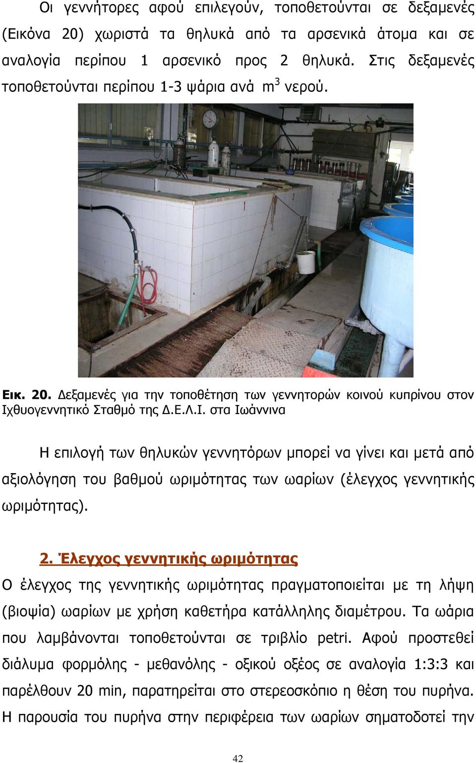 θυογεννητικό Σταθμό της Δ.Ε.Λ.Ι. στα Ιωάννινα Η επιλογή των θηλυκών γεννητόρων μπορεί να γίνει και μετά από αξιολόγηση του βαθμού ωριμότητας των ωαρίων (έλεγχος γεννητικής ωριμότητας). 2.