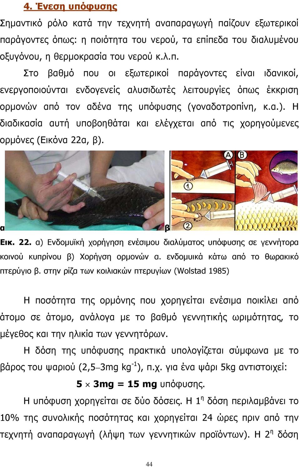 ενδομυικά κάτω από το θωρακικό πτερύγιο β.