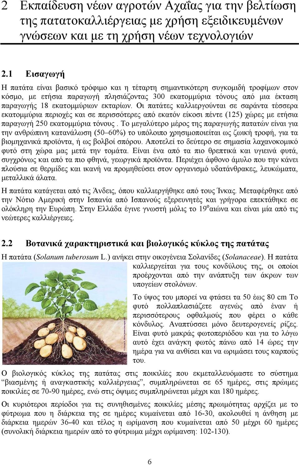 εκταρίων. Οι πατάτες καλλιεργούνται σε σαράντα τέσσερα εκατομμύρια περιοχές και σε περισσότερες από εκατόν είκοσι πέντε (125) χώρες με ετήσια παραγωγή 250 εκατομμύρια τόνους.