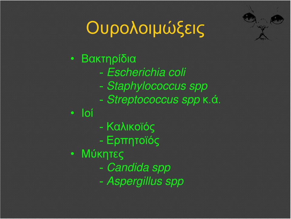 Streptococcus spp κ.ά.