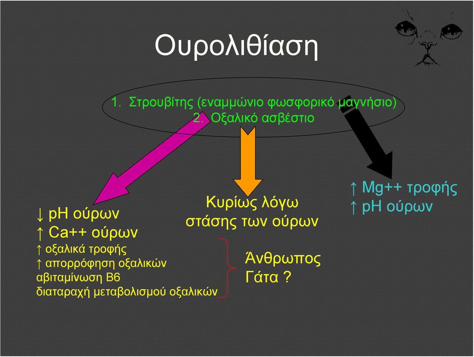 απορρόφηση οξαλικών αβιταμίνωση Β6 διαταραχή μεταβολισμού