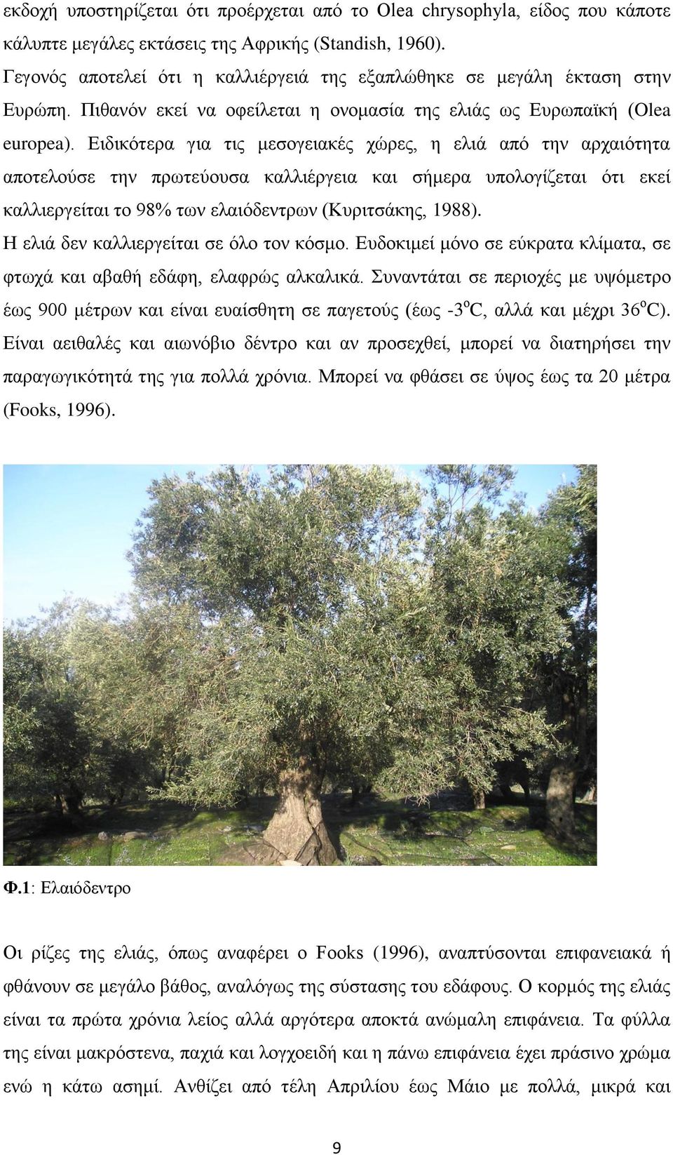 Ειδικότερα για τις μεσογειακές χώρες, η ελιά από την αρχαιότητα αποτελούσε την πρωτεύουσα καλλιέργεια και σήμερα υπολογίζεται ότι εκεί καλλιεργείται το 98% των ελαιόδεντρων (Κυριτσάκης, 1988).