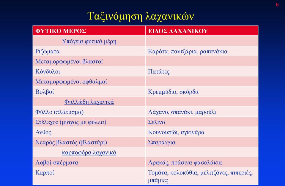 καρποφόρα λαχανικά Λοβοί-σπέρματα Καρποί ΕΙΔΟΣ ΛΑΧΑΝΙΚΟΥ Καρότα, παντζάρια, ραπανάκια Πατάτες Κρεμμύδια, σκόρδα