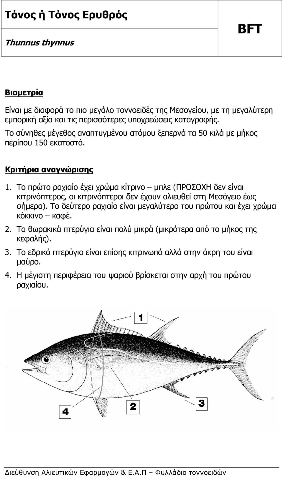 0 εκατοστά. 1. Το πρώτο ραχιαίο έχει χρώµα κίτρινο µπλε (ΠΡΟΣΟΧΗ δεν είναι κιτρινόπτερος, οι κιτρινόπτεροι δεν έχουν αλιευθεί στη Μεσόγειο έως σήµερα).