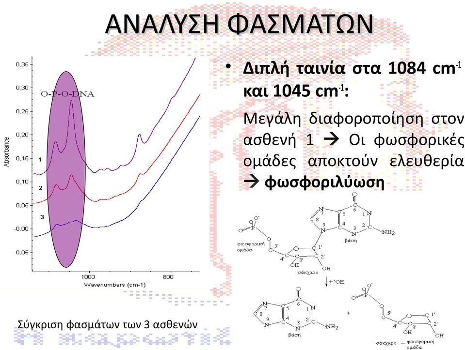 ασθενή 1 Οι φωσφορικές ομάδες αποκτούν