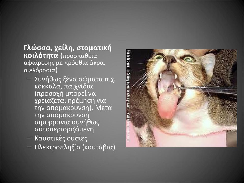 κόκκαλα, παιχνίδια (προσοχή μπορεί να χρειάζεται ηρέμηση για την