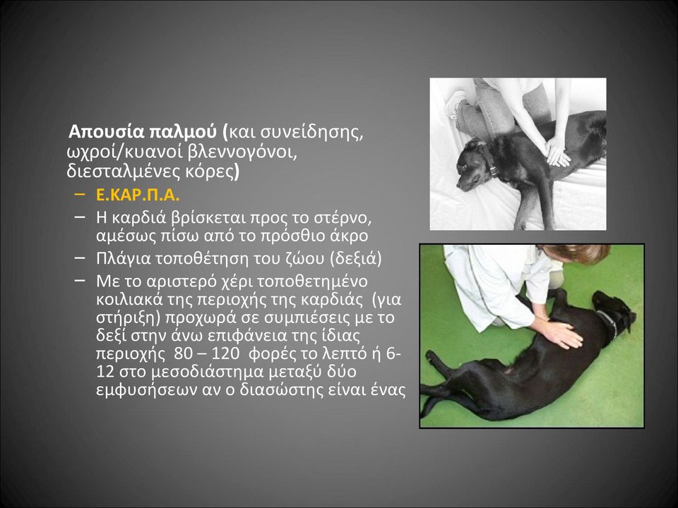 τοποθετημένο κοιλιακά της περιοχής της καρδιάς (για στήριξη) προχωρά σε συμπιέσεις με το δεξί στην άνω