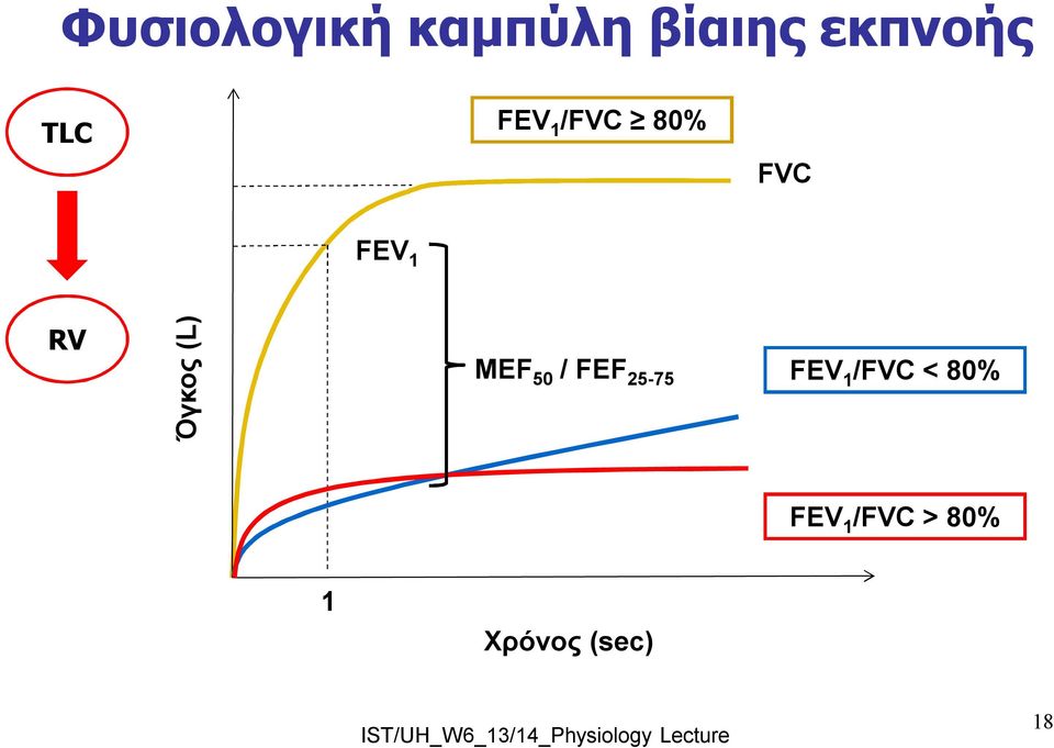 Όγκος (L) MEF 50 / FEF 25-75 FEV 1