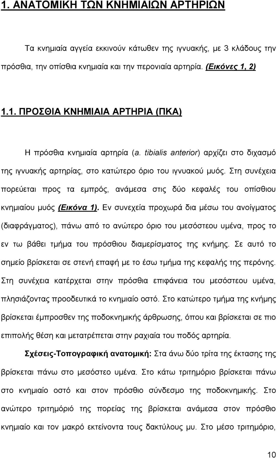 Στη συνέχεια πορεύεται προς τα εμπρός, ανάμεσα στις δύο κεφαλές του οπίσθιου κνημιαίου μυός (Εικόνα 1).