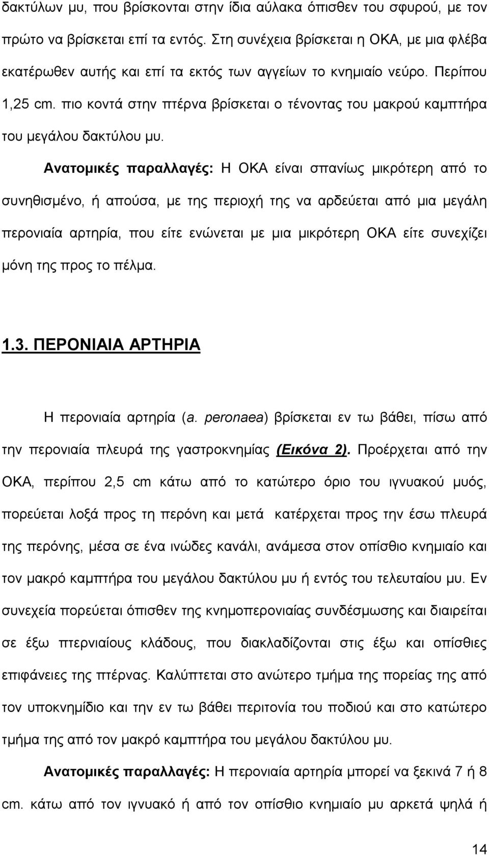 πιο κοντά στην πτέρνα βρίσκεται ο τένοντας του μακρού καμπτήρα του μεγάλου δακτύλου μυ.