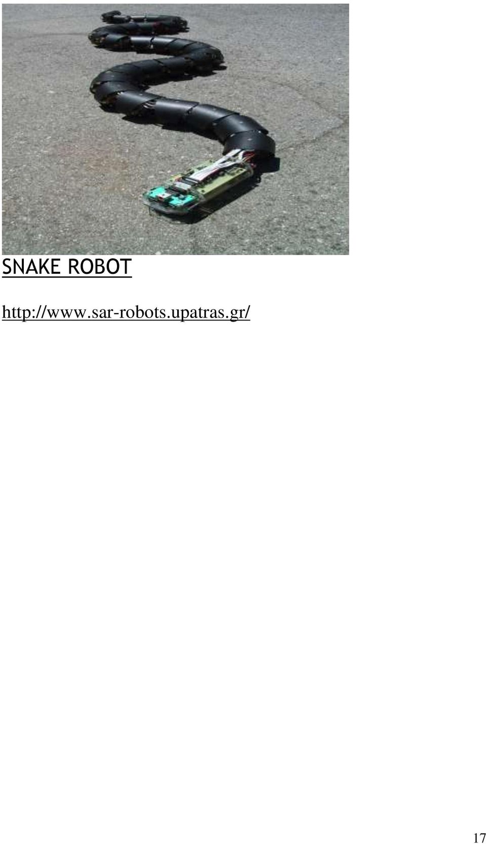 sar-robots.