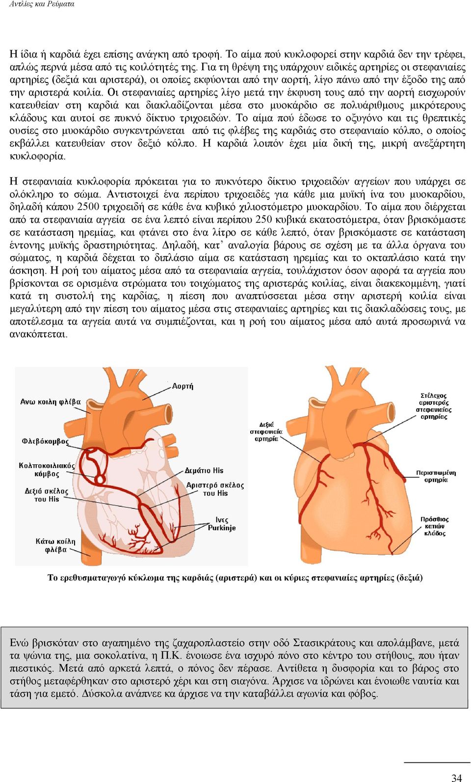 Οι στεφανιαίες αρτηρίες λίγο µετά την έκφυση τους από την αορτή εισχωρούν κατευθείαν στη καρδιά και διακλαδίζονται µέσα στο µυοκάρδιο σε πολυάριθµους µικρότερους κλάδους και αυτοί σε πυκνό δίκτυο