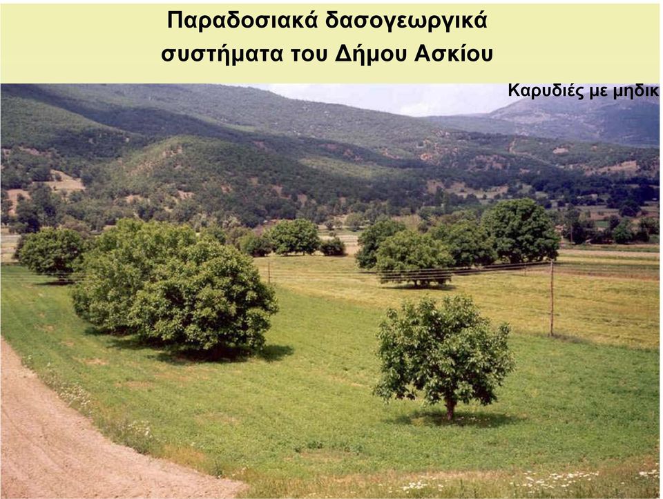 Παραδοσιακά