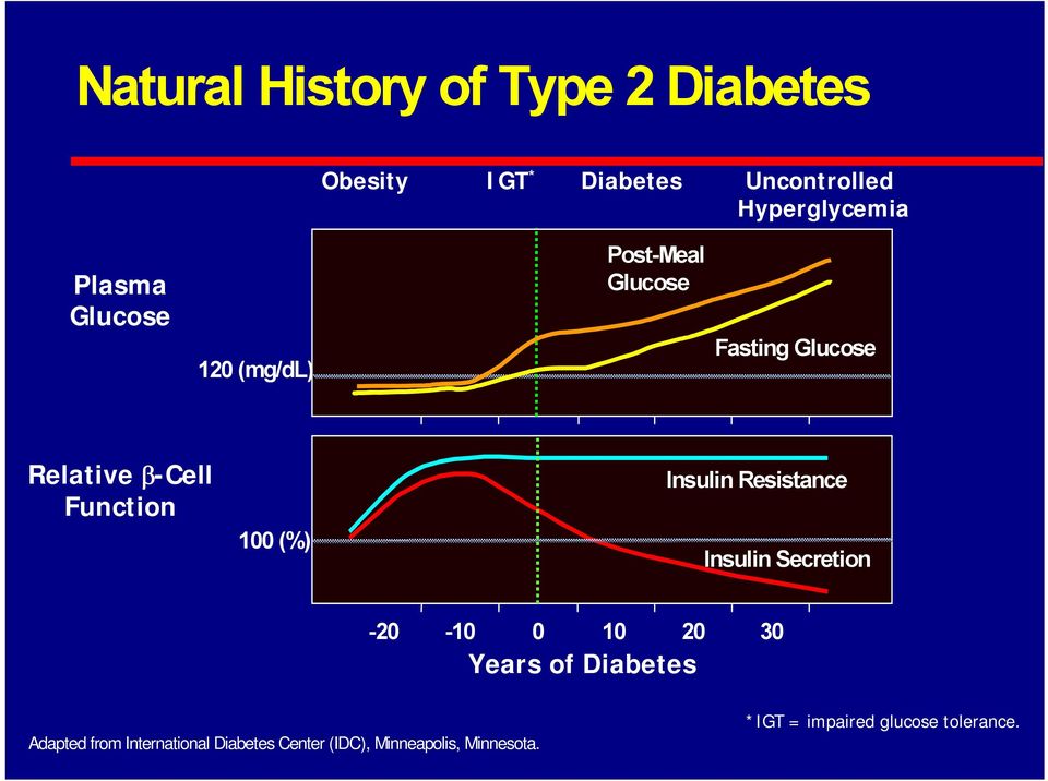 (%) Insulin Resistance Insulin Secretion -20-10 0 10 20 30 Years of Diabetes Adapted from