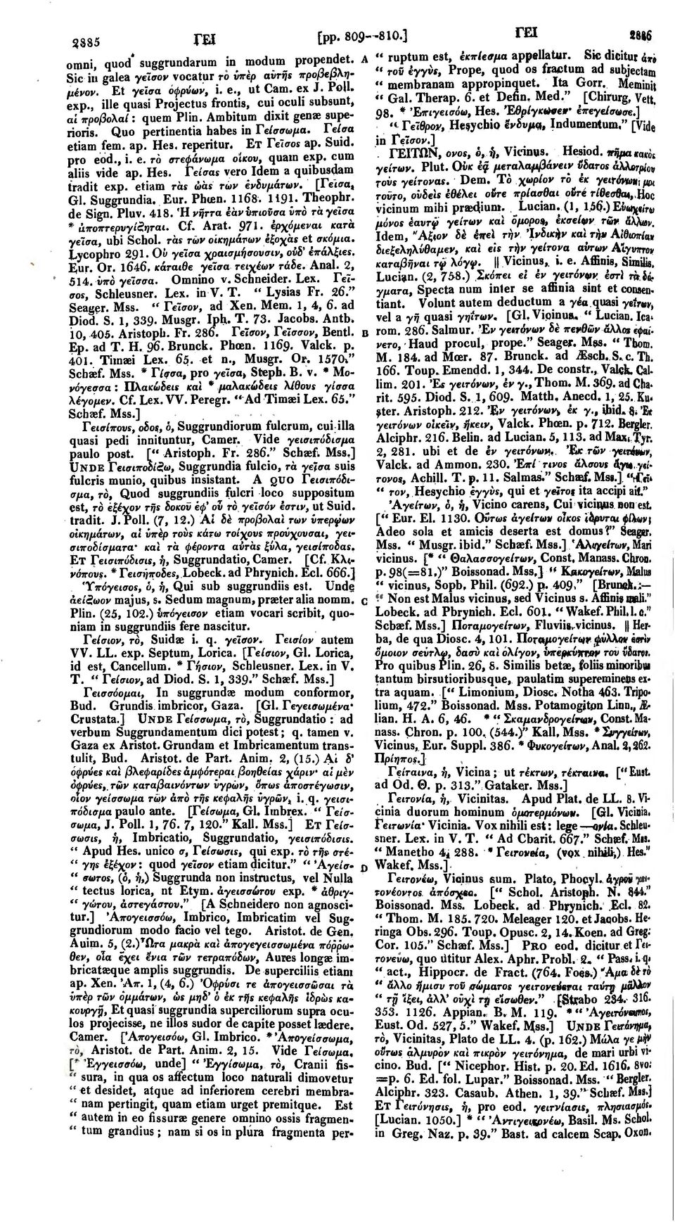 Meminit «' Gal. Therap. 6. et Defin, Med." [Chirurg, Vett. exp., ille quasi Projectus frontis, cui oculi subsunt, 98. * 'ΕΐΓίγείσόω, Hes. 'Έβρίγκιύβε»' έπεγείσωσε.] ai προβολαί: quem Plin.