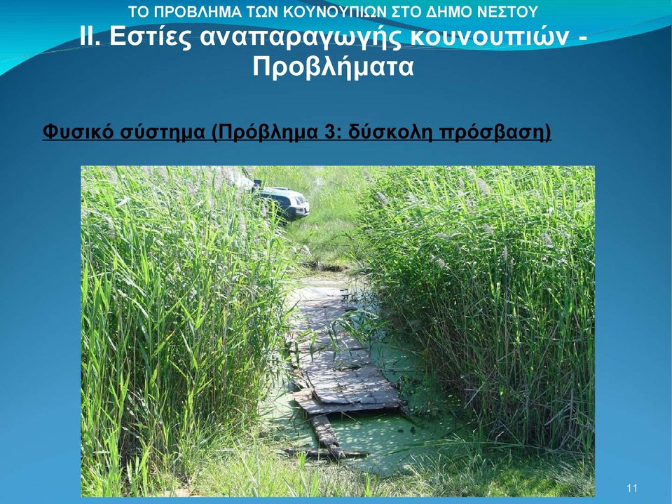 (Πρόβλημα