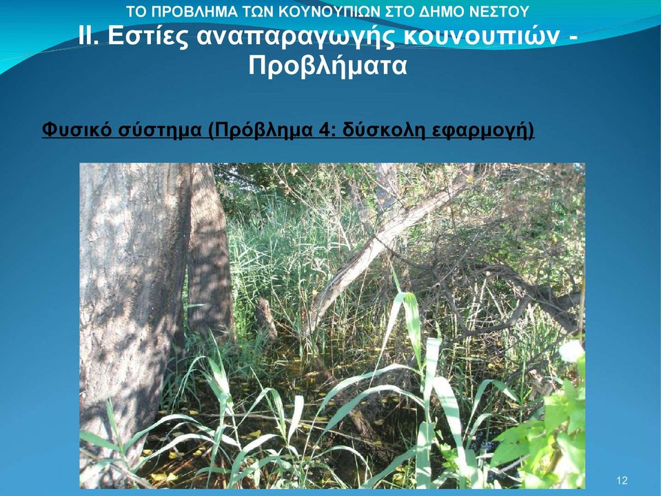 (Πρόβλημα