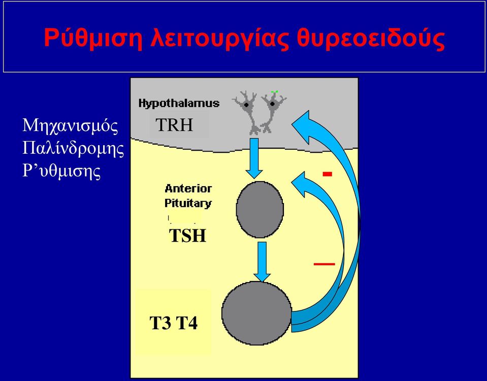 Μηχανισμός