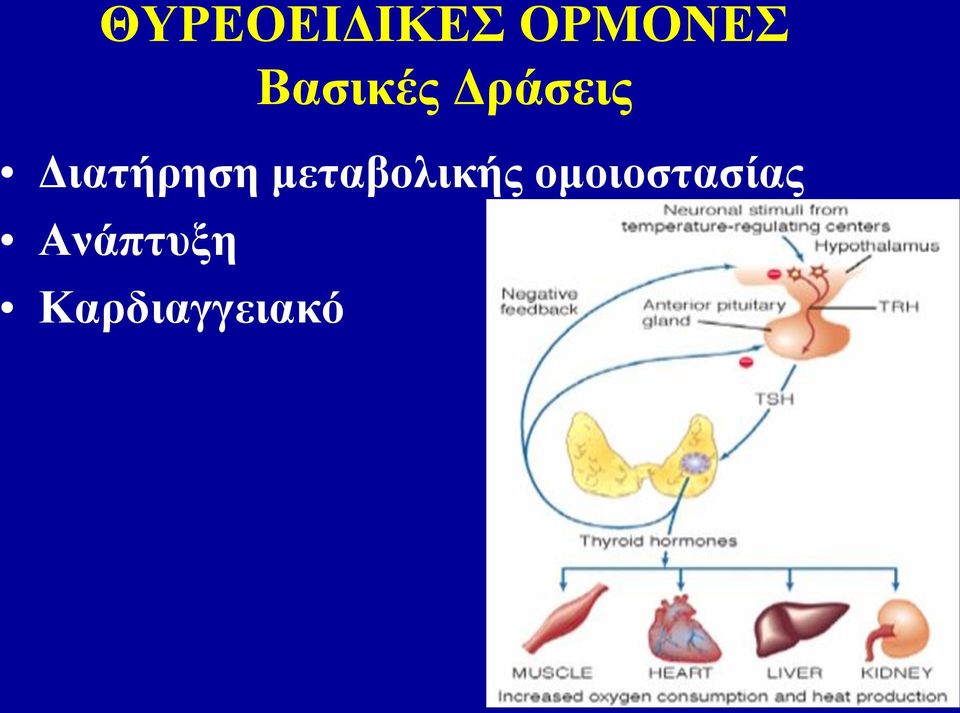 Διατήρηση μεταβολικής