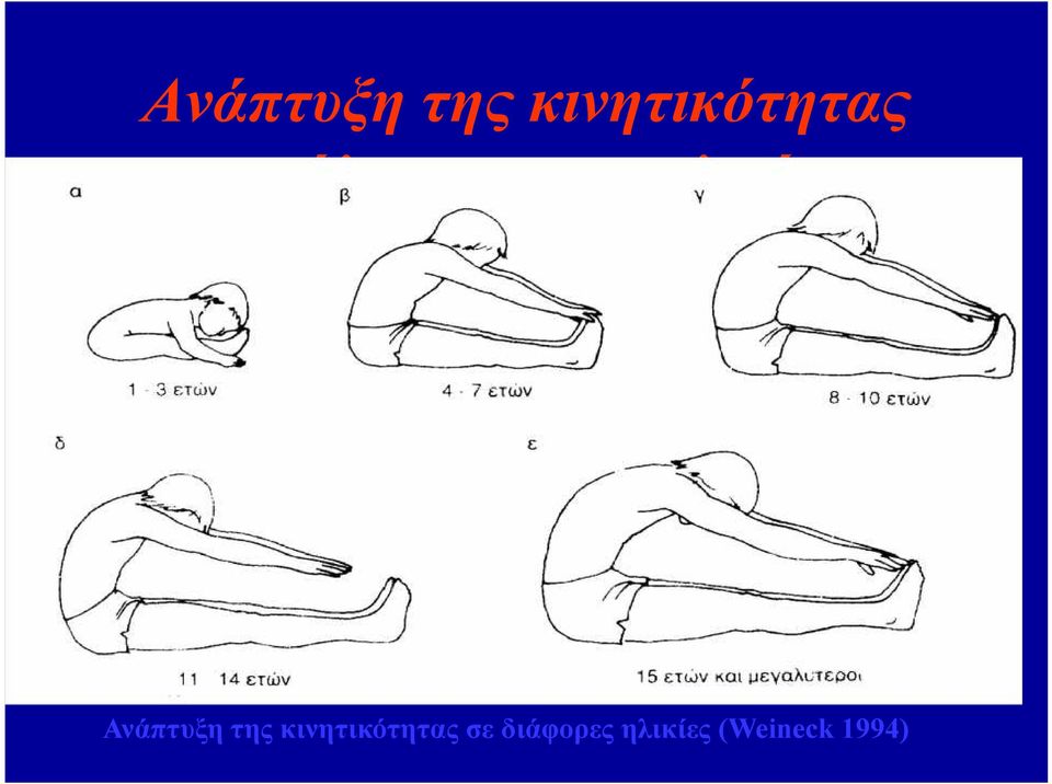 διάφορες ηλικίες (Weineck