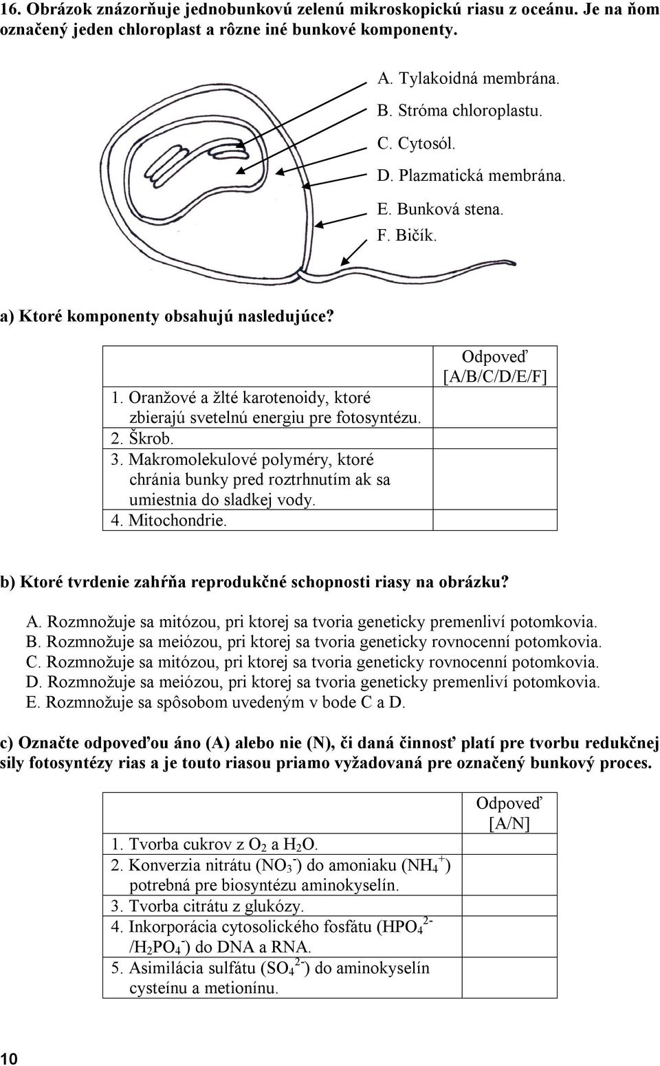 Makromolekulové polyméry, ktoré chránia bunky pred roztrhnutím ak sa umiestnia do sladkej vody. 4. Mitochondrie. Odpoveď [A/B/C/D/E/F] b) Ktoré tvrdenie zahŕňa reprodukčné schopnosti riasy na obrázku?