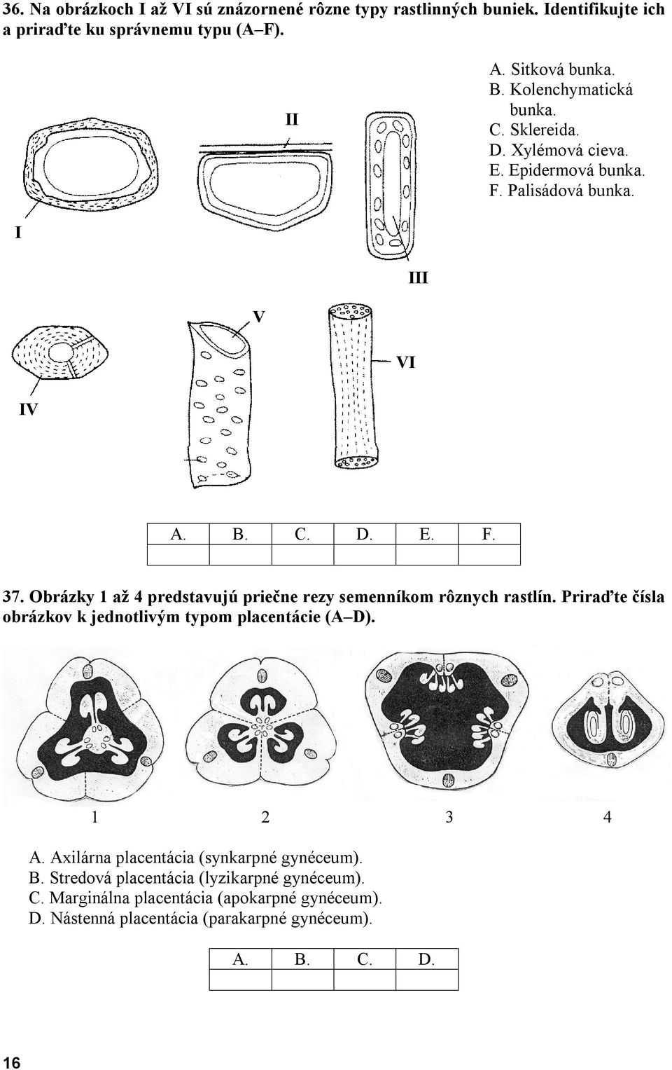 Obrázky 1 až 4 predstavujú priečne rezy semenníkom rôznych rastlín. Priraďte čísla obrázkov k jednotlivým typom placentácie (A D). 1 2 3 4 A.