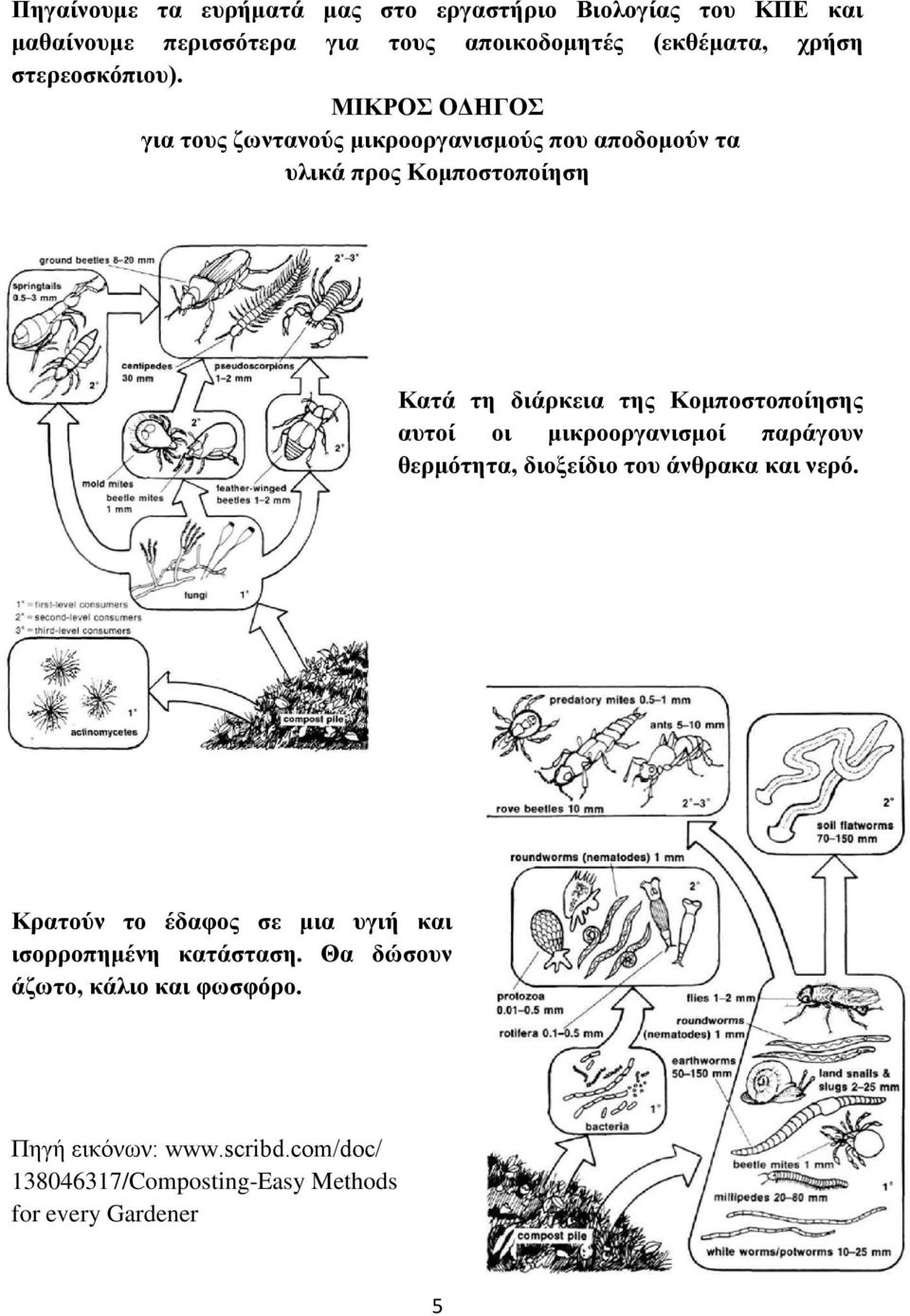ΜΙΚΡΟΣ ΟΔΗΓΟΣ για τους ζωντανούς μικροοργανισμούς που αποδομούν τα υλικά προς Κομποστοποίηση Κατά τη διάρκεια της Κομποστοποίησης