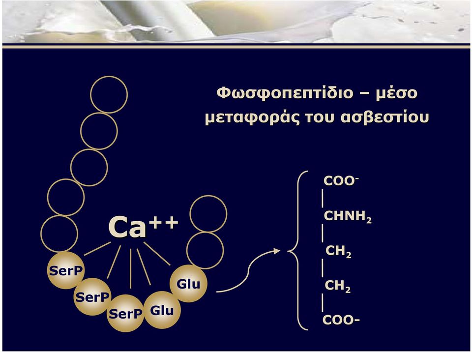 COO - SerP Ca ++ SerP
