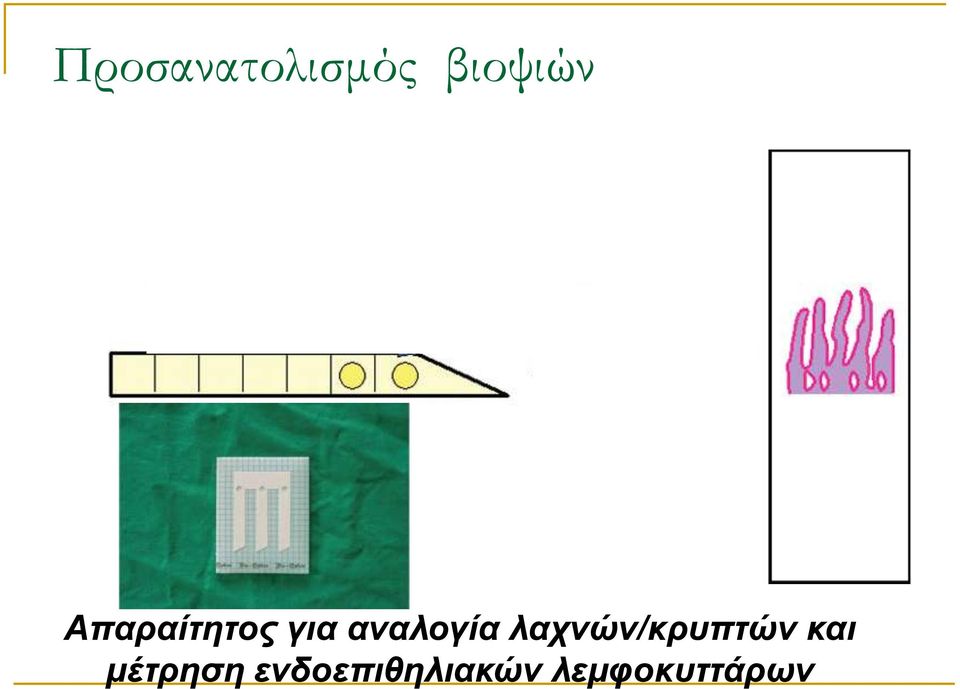 λατνών/κρσπηών και μέηρηζη