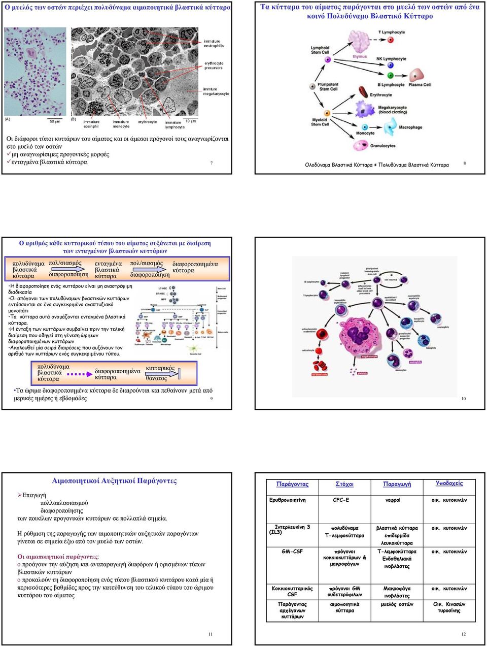 7 Ολοδύναµα Βλαστικά Κύτταρα Πολυδύναµα ΒλαστικάΚύτταρα 8 Οαριθµός κάθε κυτταρικού τύπου του αίµατος αυξάνεται µε διαίρεση των ενταγµένων βλαστικών κυττάρων πολυδύναµα βλαστικά πολ/σιασµός