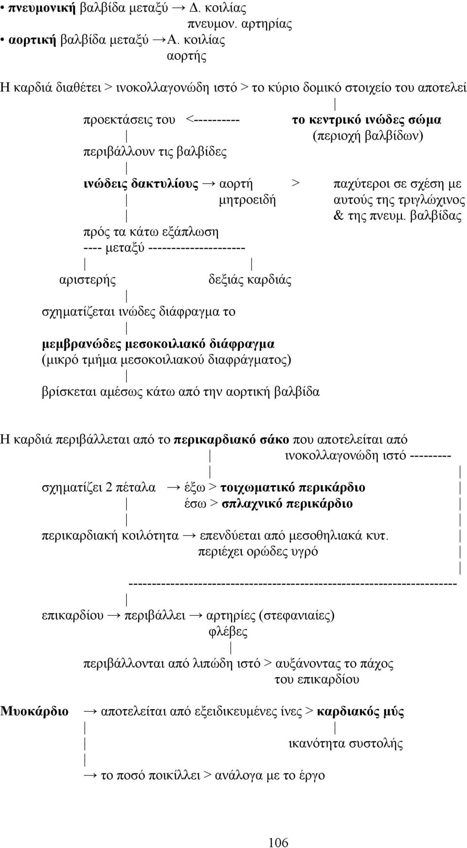 δακτυλίους αορτή > παχύτεροι σε σχέση µε µητροειδή αυτούς της τριγλώχινος & της πνευµ.