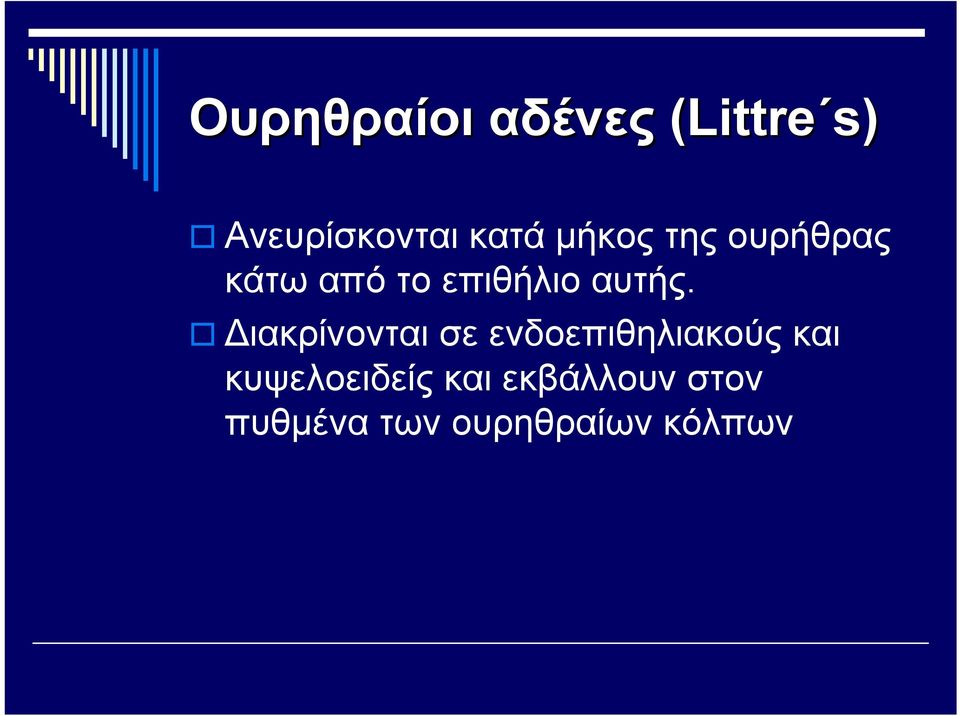 Διακρίνονται σε ενδοεπιθηλιακούς και