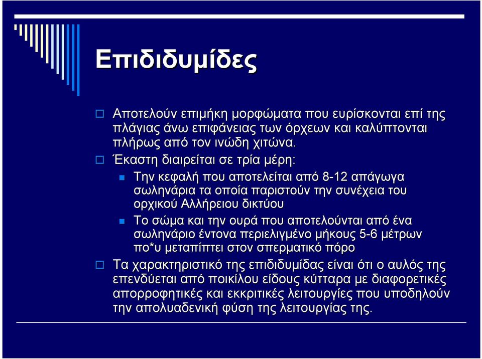 και την ουρά που αποτελούνται από ένα σωληνάριο έντονα περιελιγμένο μήκους 5-6 μέτρων πο*υ μεταπίπτει στον σπερματικό πόρο Τα χαρακτηριστικό της επιδιδυμίδας