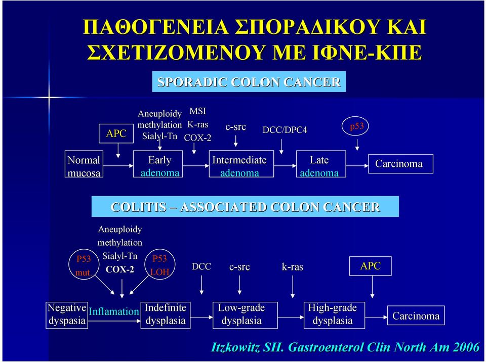 COLON CANCER P53 mut.