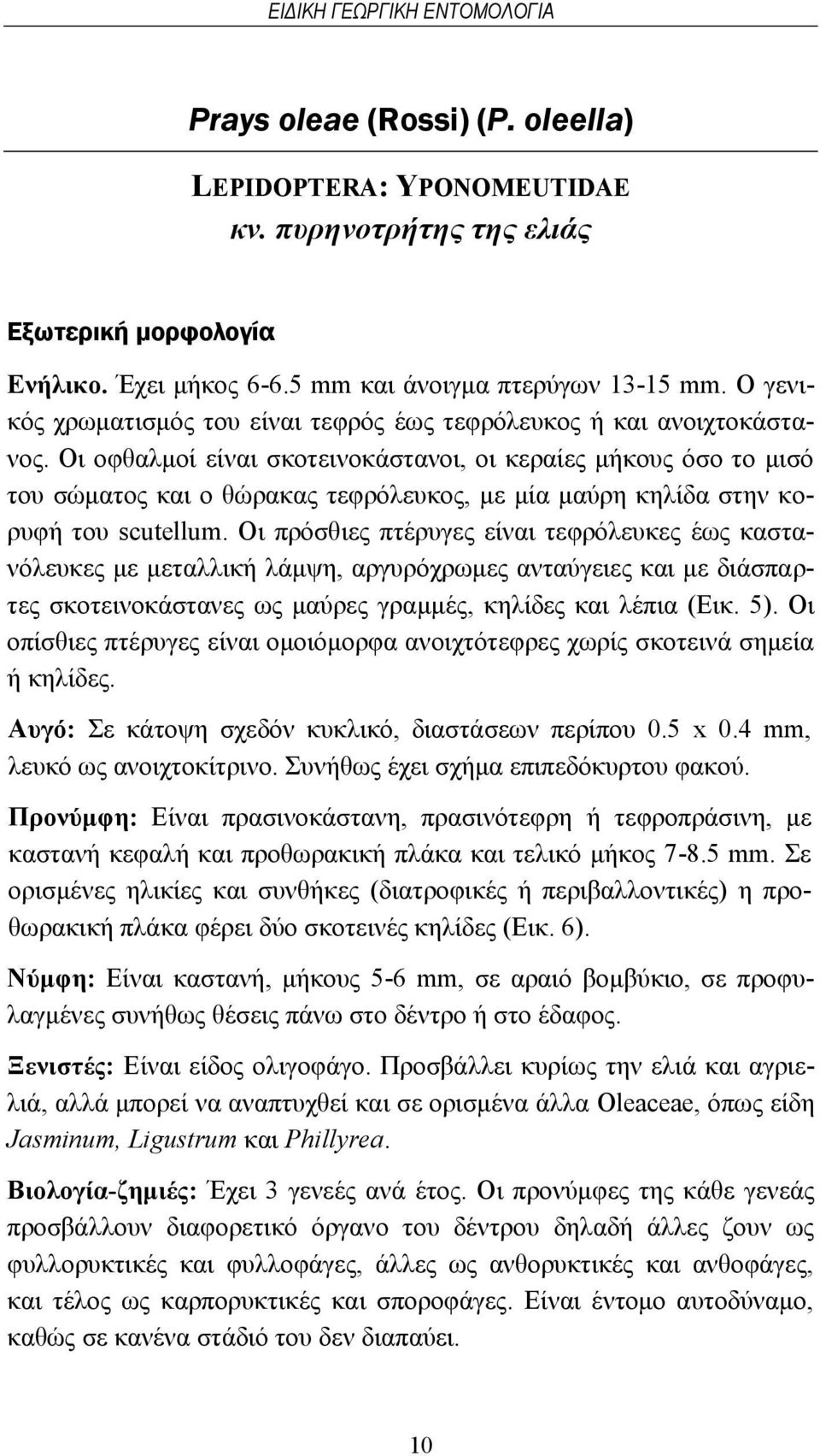 Οι οφθαλμοί είναι σκοτεινοκάστανοι, οι κεραίες μήκους όσο το μισό του σώματος και ο θώρακας τεφρόλευκος, με μία μαύρη κηλίδα στην κορυφή του scutellum.