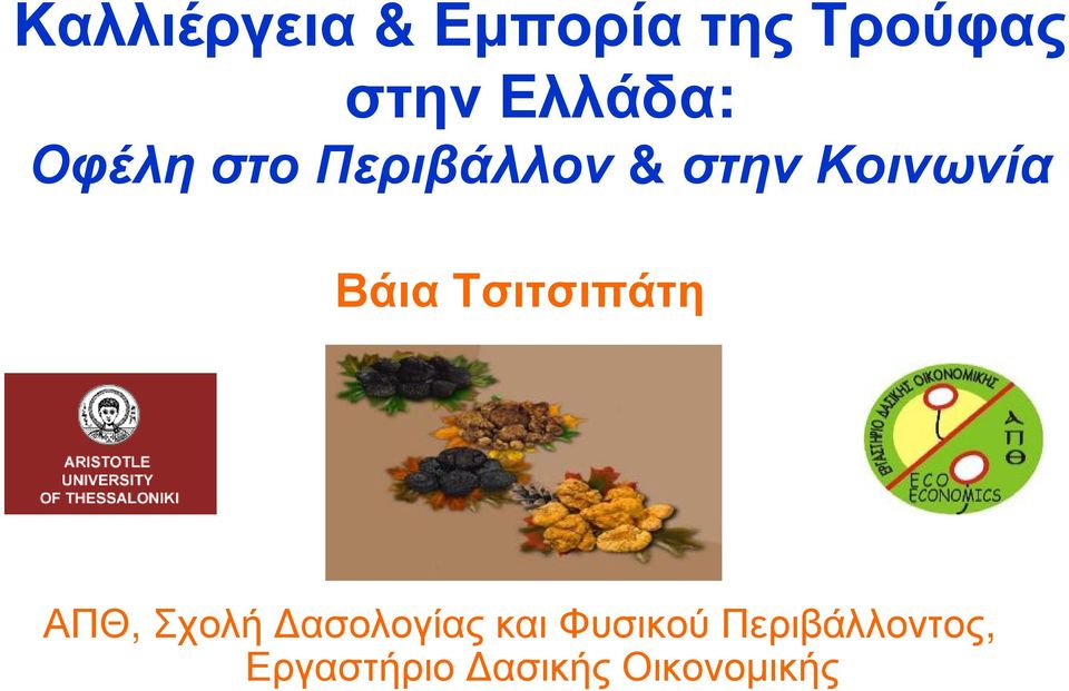 Βάια Τσιτσιπάτη ΑΠΘ, Σχολή Δασολογίας και