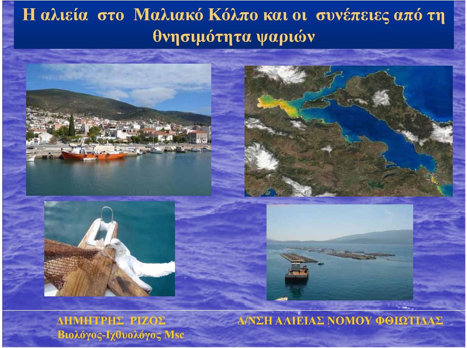 ψαριών ΔΗΜΗΤΡΗΣ ΡΙΖΟΣ