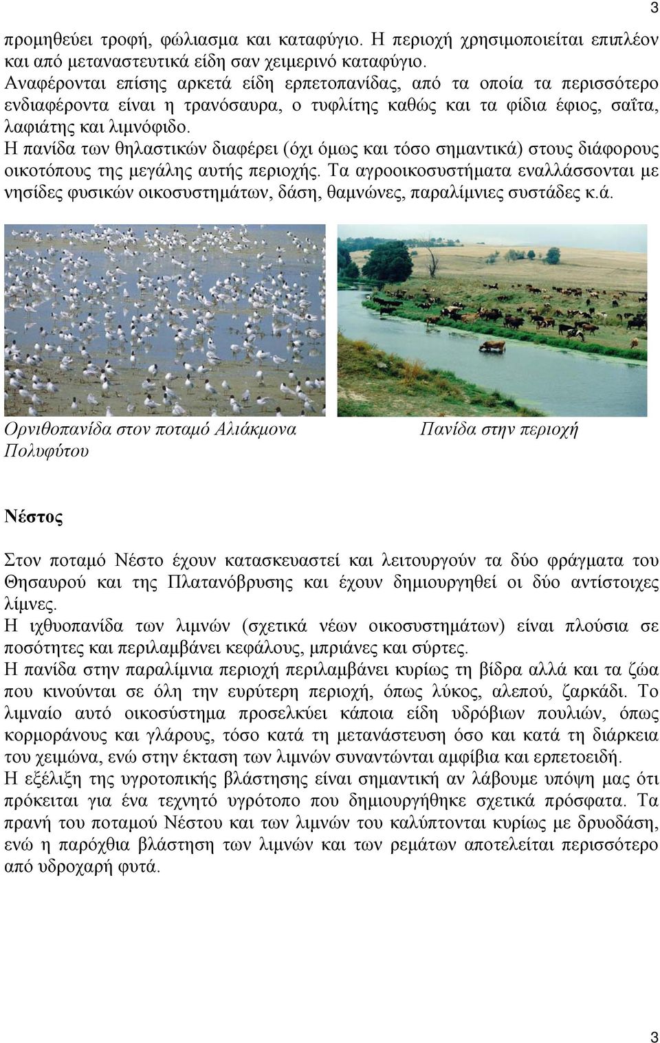 Η πανίδα των θηλαστικών διαφέρει (όχι όμως και τόσο σημαντικά) στους διάφορους οικοτόπους της μεγάλης αυτής περιοχής.